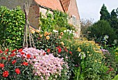 AUTUMN BORDER AT WAKEFIELDS IN SEPTEMBER WITH CHRYSANTHEMUMS, DAHLIAS AND OTHER AUTUMN PERENNIALS