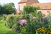 AUTUMN BORDER AT WAKEFIELDS IN SEPTEMBER WITH CHRYSANTHEMUMS, RUDBECKIA DEAMII AND OTHER AUTUMN PERENNIALS