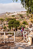 SCULPTURE GARDEN BY EDWIN REISER IN SAN MIGUEL, TENERIFE