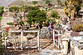 SCULPTURE GARDEN BY EDWIN REISER IN SAN MIGUEL, TENERIFE