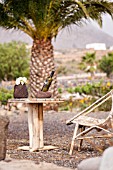 SCULPTURE GARDEN BY EDWIN REISER IN SAN MIGUEL, TENERIFE