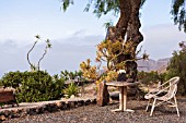 SCULPTURE GARDEN BY EDWIN REISER IN SAN MIGUEL, TENERIFE