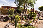 SCULPTURE GARDEN BY EDWIN REISER IN SAN MIGUEL, TENERIFE