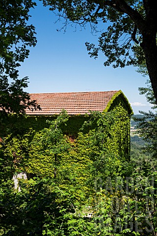 IVY_COVERED_BARN_BUILDING_IN_TUSCANY_ITALY