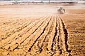 TRACTOR PLOUGHING FURROWS AND PLACING IRRIGATION PIPES IN A DUSTY GROUND IN PALM MAR, TENERIFE, PREPARING TO PLANT A POTATO CROP