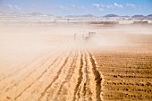 TRACTOR PLOUGHING FURROWS AND PLACING IRRIGATION PIPES IN A DUSTY GROUND IN PALM MAR, TENERIFE, PREPARING TO PLANT A POTATO CROP