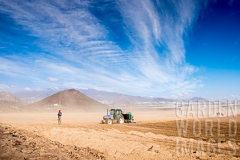 TRACTOR_PLOUGHING_FURROWS_AND_PLACING_IRRIGATION_PIPES_IN_A_DUSTY_GROUND_IN_PALM_MAR_TENERIFE_PREPAR