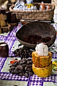 COCOA TO CHOCOLATE, THEOBROMA CACAO