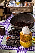 COCOA TO CHOCOLATE, THEOBROMA CACAO