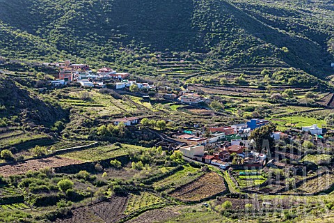 AERIAL_VIEW_OVER_THE_VINEYARDS_AND_POTATO_FIELDS_IN_THE_FERTILE_VALLEY_OF_VALE_ARRIBA_IN_TENERIFE