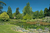 CAMBRIDGE UNIVERSITY BOTANIC GARDENS,  POND IN SPRING