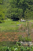 RELAXING IN CAMBRIDGE UNIVERSITY BOTANIC GARDENS