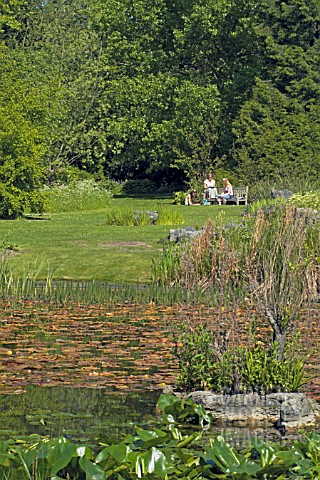 RELAXING_IN_CAMBRIDGE_UNIVERSITY_BOTANIC_GARDENS