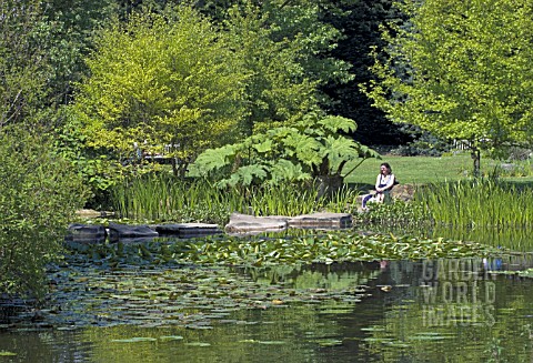 RELAXING_ON_THE_BANKS_OF_THA_LAKE__CAMBRIDGE_UNIVERSITY_BOTANIC_GARDENS