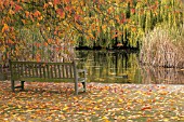 GARDEN BENCH OVERLOOKING POND,  AUTUMN