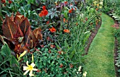 EXOTIC BORDER WITH CANNA AND RICINUS AND LONG CURVING GRASS PATH. THE ARLES WORCESTERSHIRE.