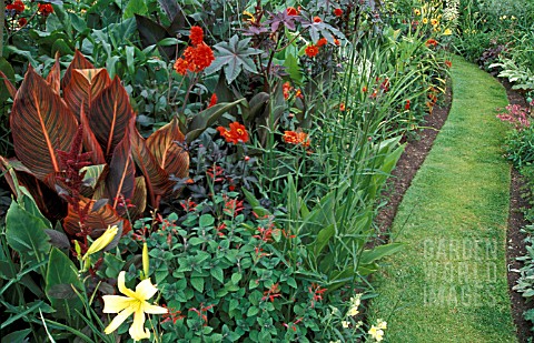 EXOTIC_BORDER_WITH_CANNA_AND_RICINUS_AND_LONG_CURVING_GRASS_PATH_THE_ARLES_WORCESTERSHIRE