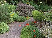 FLOWERS AND HERBS