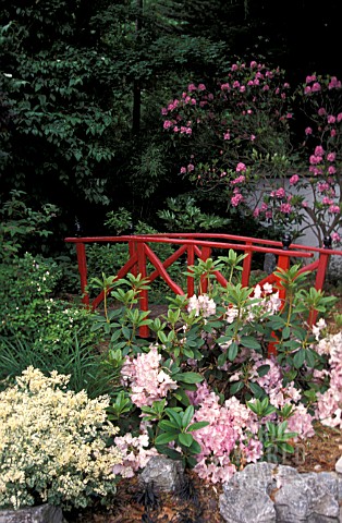RED_BRIDGE_WITH_RHODODENDRON