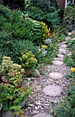 PATH,  STEPPING STONES,  CONCRETE LOG EFFECT,  THROUGH GARDEN