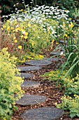 WOODLAND PATH,  WITH STEPPING STONES,  COVERED WITH CHICKEN WIRE FOR GRIP.