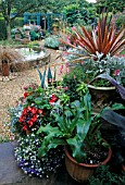 CONTAINERS IN SMALL GARDEN