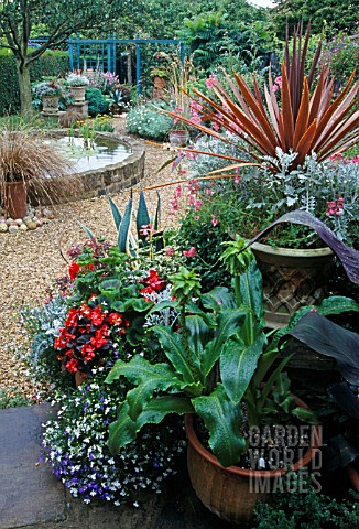 CONTAINERS_IN_SMALL_GARDEN