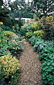 GRAVEL PATH LEADING THROUGH GARDEN