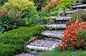 RUSTIC STEPS IN WOODLAND