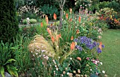 KNIPHOFIA AND AGAPANTHUS IN BORDER,  LITTLE GARTH SOMERSET ENGLAND,  RED HOT POKER,  TORCH LILY