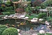 JAPANESE STYLE GARDEN POOL WITH KOI CARP PATIO COVERED BY PERGOLA CHELSEA 2002 WONDERFUL WORLD OF KOI DESIGNER R.DAY AND S.HICKLING BONSAIS RHODODENDRONS PEBBLES STONES