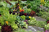 VEGETABLES,  HERBS AND FLOWERS IN BORDER