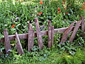 OLD PICKET FENCE