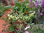 CONTAINER WITH MIXED VEGETABLES AND FLOWERS