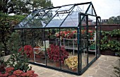 METAL FRAME GREENHOUSE ON CRAZY PAVING