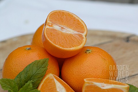 SOUTH_AFRICAN_TANGERINES