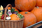 BASKET OF MIXED VEGETABLES