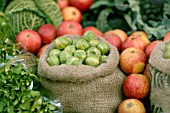 BRUSSEL SPROUTS IN HESSIAN SACKS