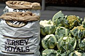 JERSEY ROYAL POTATOES AND CAULIFLOWERS