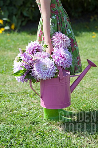 GIRL_WITH_WATERING_CAN_AND_DAHLIAS