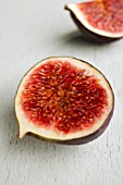 FICUS CARICA, (FIG CROSS SECTION)