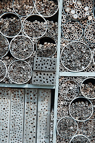 BUG_HOTEL_INSECT_HOME