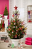 PICEA ABIES- AS CHRISTMAS TREE WITH DECORATIONS