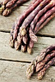 ASPARAGUS OFFICINALIS RED