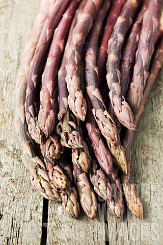 ASPARAGUS_OFFICINALIS_RED