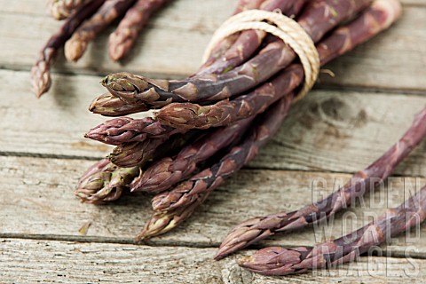 ASPARAGUS_OFFICINALIS_RED