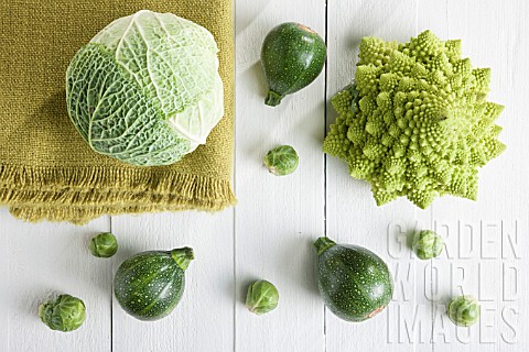 VEGETABLE_MIX_COLOUR_COLLAGE_GREEN