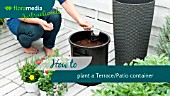 HOW TO: CREATING A PATIO POT  - STEP BY STEP ACTION VIDEO