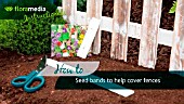 HOW TO: USE SEED TAPE TO CREATE A FLOWERING FENCE - STEP BY STEP ACTION VIDEO