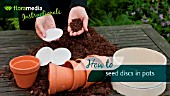 HOW TO: PLANT SEED DISCS - STEP BY STEP ACTION VIDEO
